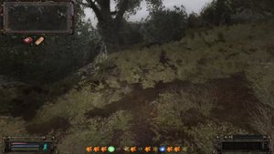 Прохождение ОП-2.2 Лесник и спасение поросёнка #9