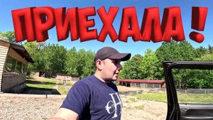ПРИЕХАЛА ПОМОЩНИЦА НА ХУТОР ! ТЕПЕРЬ ВСЕ БУДЕТ ХОРОШО !