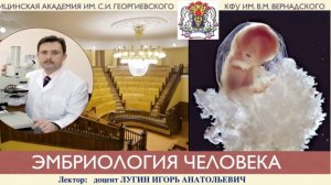 Лекция - Эмбриология человека - лектор доцент Лугин И.А.