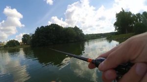 Что может спиннинг. Flagman Matrix 83M. Почему так популярен?