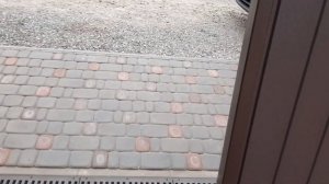 Renault Kangoo .Замена турбины, чистка экологии, замена клапана КВКГ. Замена колечек маслостакана.