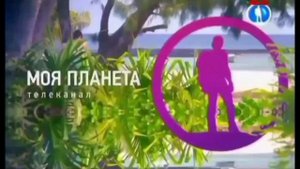 Все заставки "Моя планета" часть 4 (2015-2019)