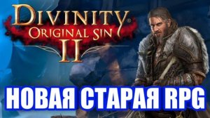 Обзор Divinity: Original Sin 2. Лучшая из современных RPG!