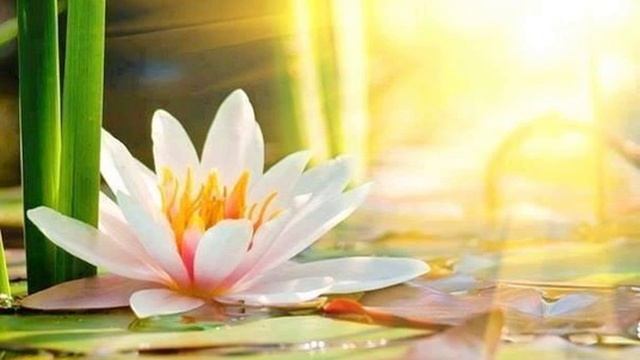 Наталья Шереметьева Техника спасения смотреть онлайн