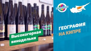 Высокогорная винодельня на Кипре