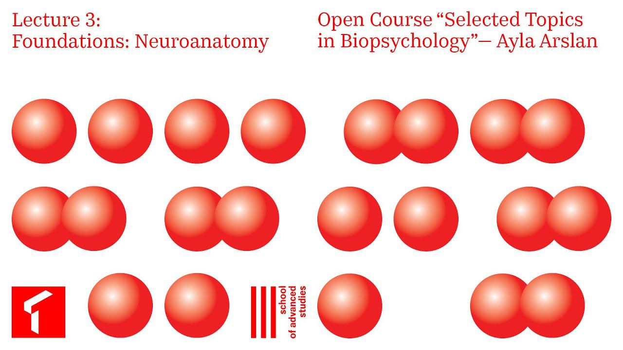 Selected Topics in Biopsychology — Open Course, Lecture 3 | SAS Online |