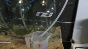 Ситчатая колонна (пробный тест)