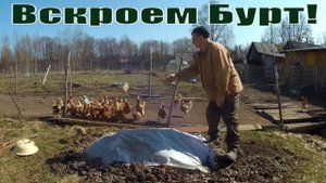 Откапываем то, что закопали 7 месяцев назад! Свежие новости и деревенские будни!