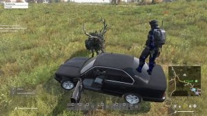 Dayz. Be Hush сервер. #2 (много полезной инфы для новичков)