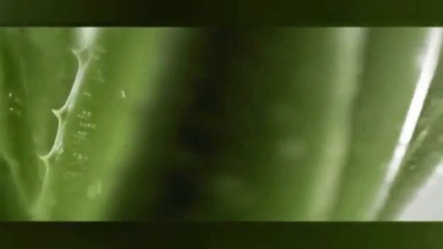 Продукция LR. Врач терапевт высшей категории Н.Куликова.mp4