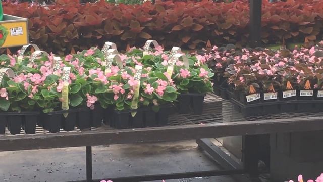 США магазин Lowe's шопинг // Vlog #2 смотреть онлайн