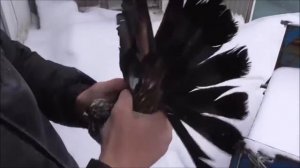 В гостях у Ромы Галавина, г. Донецк.