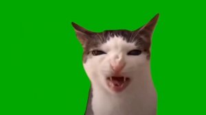 Футаж мемов 1 часть||мем:грустящий котик:Луна