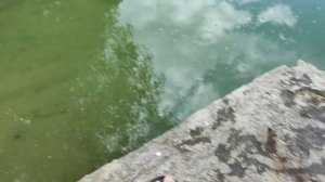 Обзор и первый тест закормочного кораблика D18B.