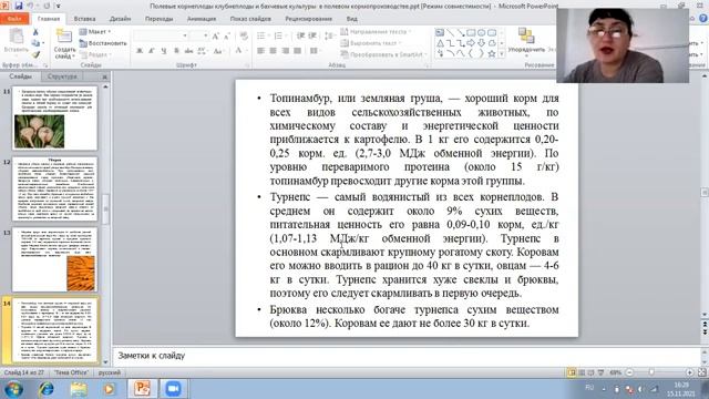 Молоткова Е В  Кормовые корнеплоды, клубнеплоды и бахчевые культуры в полевом кормопроизводстве