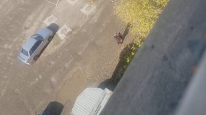 Мама ругает ребёнка