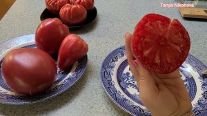 ОБЗОР И ДЕГУСТАЦИЯ ТОМАТА КРАСНАЯ НЕМЕЦКАЯ КЛУБНИКА.