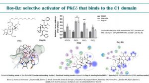Patricia Rijo | ULHT | Portugal | SciTech Biomed-Cancer 2024