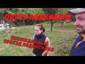 СТОЛЬКО СОБЫТИЙ ЗА ДВА ДНЯ | КУПИЛ ДОМ В ДЕРЕВНЕ #купилдомвдеревне #столькособытийзадвадня #хутор