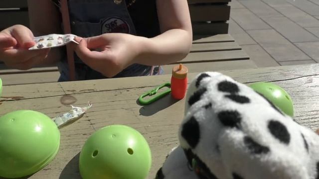 РАСПАКОВКА СЮРПРИЗОВ КРОШКИ ГОРОШКИ НОВАЯ ДЕВОЧКА КОРМИМ ГОЛУБЕЙ КРАСНОГВАРДЕЙСКИЕ ПРУДЫ смотреть онлайн