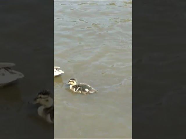 1 июля 2023 г. смотреть онлайн