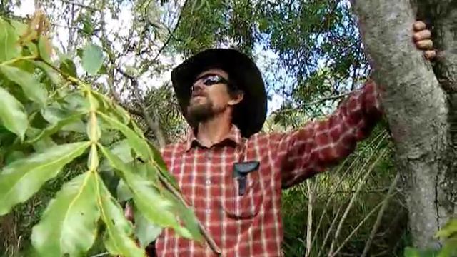 Geoff Lawton and the Acacia, Black Wattle (2010). смотреть онлайн