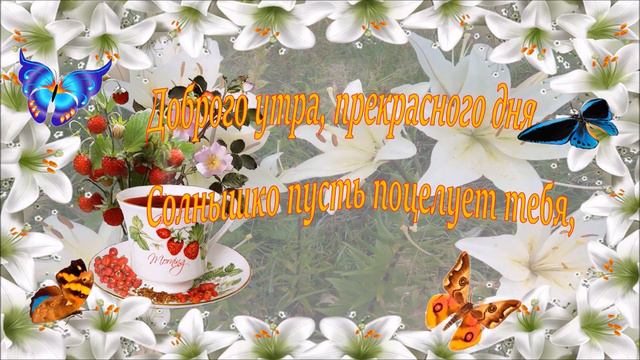 #Маленкиеоткрытки Доброго, доброго летнего утра! смотреть онлайн