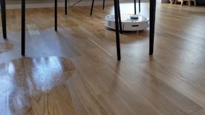 Roborock Q Revo | A Quick Review