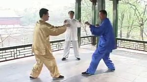 Примеры  прикладного использования форм животных в синъицюань