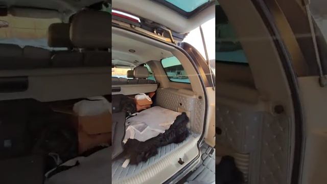 CHEVROLET TAHOE 3d коврики смотреть онлайн