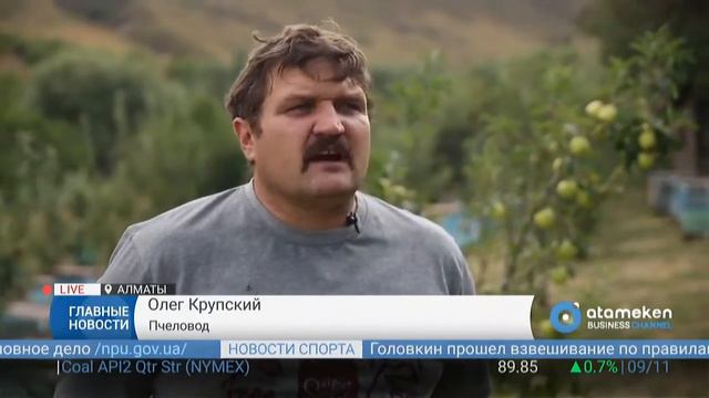 Пчеловоды Казахстана просят поддержки у государства смотреть онлайн