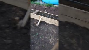 4 и 5 день фундамент под баню