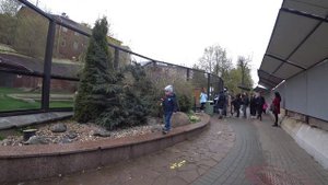 Московский зоопарк, прогулка с семьёй #москва #семья #зоопарк