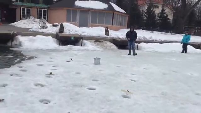Ловля форели на икру со льда. РК Фишка Липки. смотреть онлайн