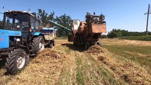 Уборка озимой пшеницы 2021. Ночью докосили .