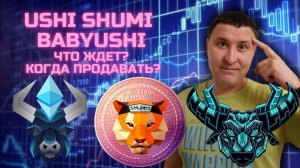 MEME токены USHI SHUMI BABYUSHI | Сколько иксов еще будет? | Что ждет эти MEME токены?