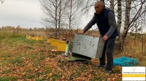 ПОДГОТОВКА  ПЧЁЛ  К  ЗИМОВКЕ  НА ВОЛЕ