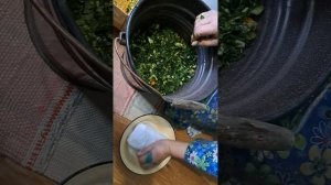 Приготовление капусты для серых щей