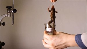 Опыт И М  Сеченова Сеченовское торможение  т
