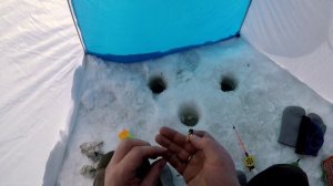 Рыбалка на реке Мезень в апреле, 2 день