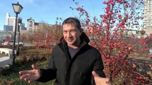 Драка с боксёром по его правилам.