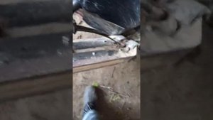 дороботка лыжи бурана