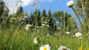 ТУРИ САЛТАК ЮРРИ