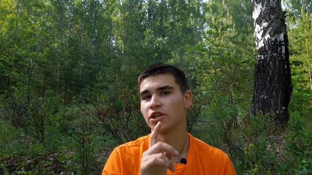 Опасная змея или безобидная ящерица? Веретеница! #ящерица смотреть онлайн