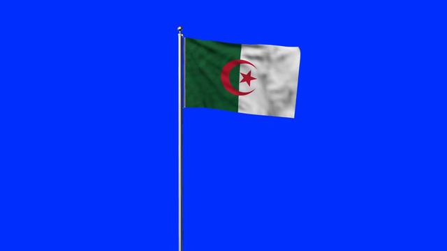 Flag of Algeria | Green screen Footage | Прапор Алжира | Флаг Алжира | Футаж смотреть онлайн