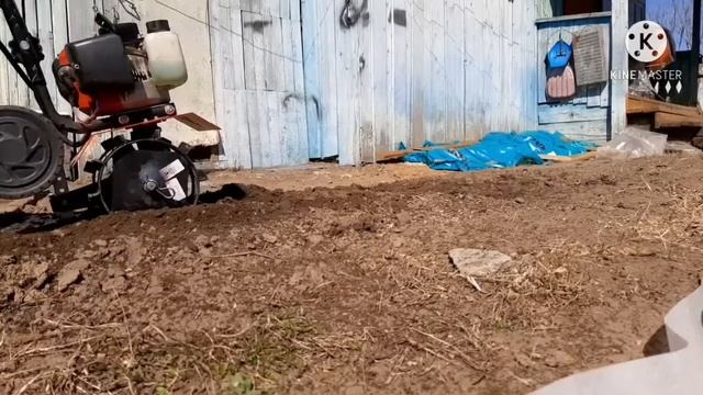 Тест#грунтозацепы#мотокультиватор#