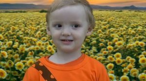 Вышел зайчик погулять