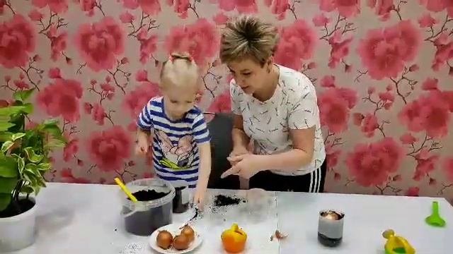Огород на подоконнике (опытно-экспериментальная деятельность)