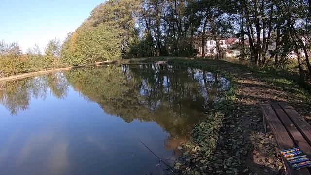МИСАЙЛОВО TROUT. Начало октября. ЗАБАСТОВКА ФОРЕЛИ