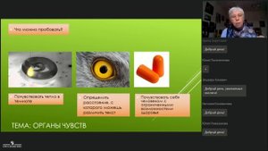 Организация пробных действий в курсе "Окружающий мир" в 1 классе